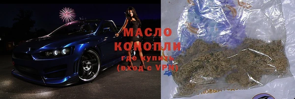 гидра Арсеньев