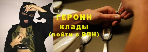 гидра Арсеньев