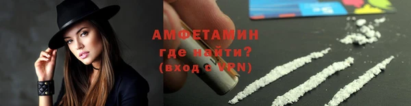 гидра Арсеньев