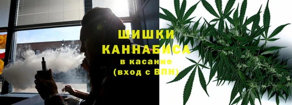 гидра Арсеньев